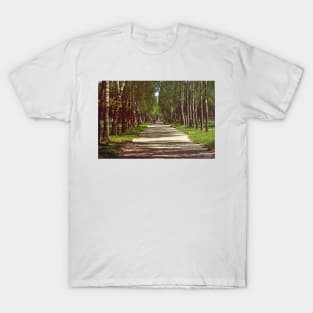 Birch alley T-Shirt